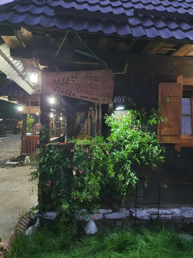La Romaneasa Săpînţa Bagian luar foto
