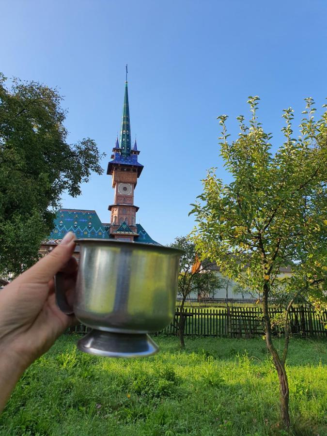 La Romaneasa Săpînţa Bagian luar foto