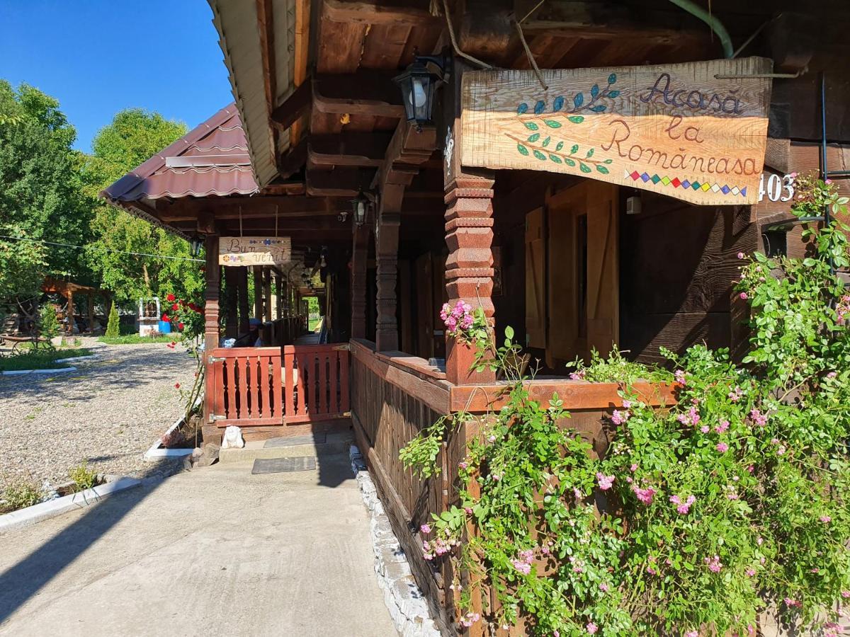 La Romaneasa Săpînţa Bagian luar foto
