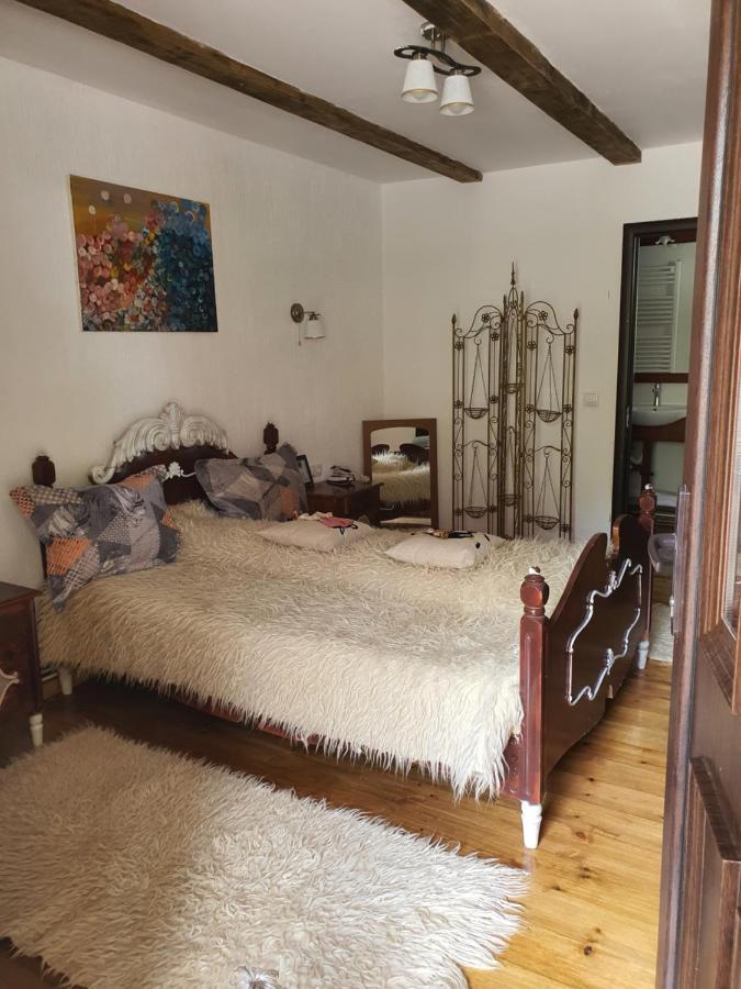 La Romaneasa Săpînţa Bagian luar foto