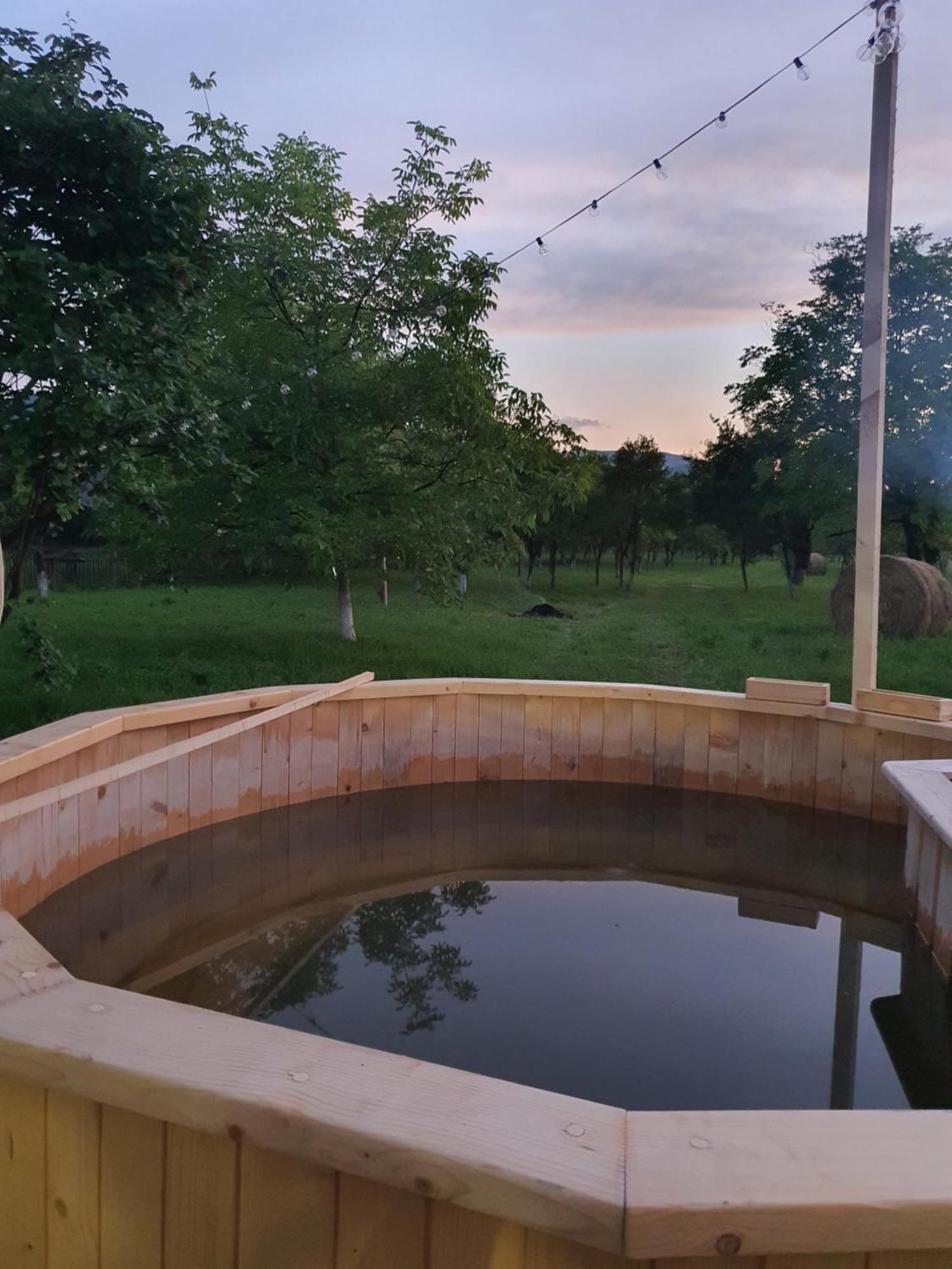 La Romaneasa Săpînţa Bagian luar foto