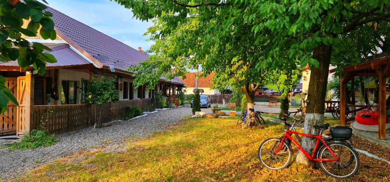 La Romaneasa Săpînţa Bagian luar foto