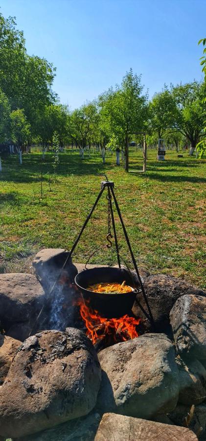 La Romaneasa Săpînţa Bagian luar foto