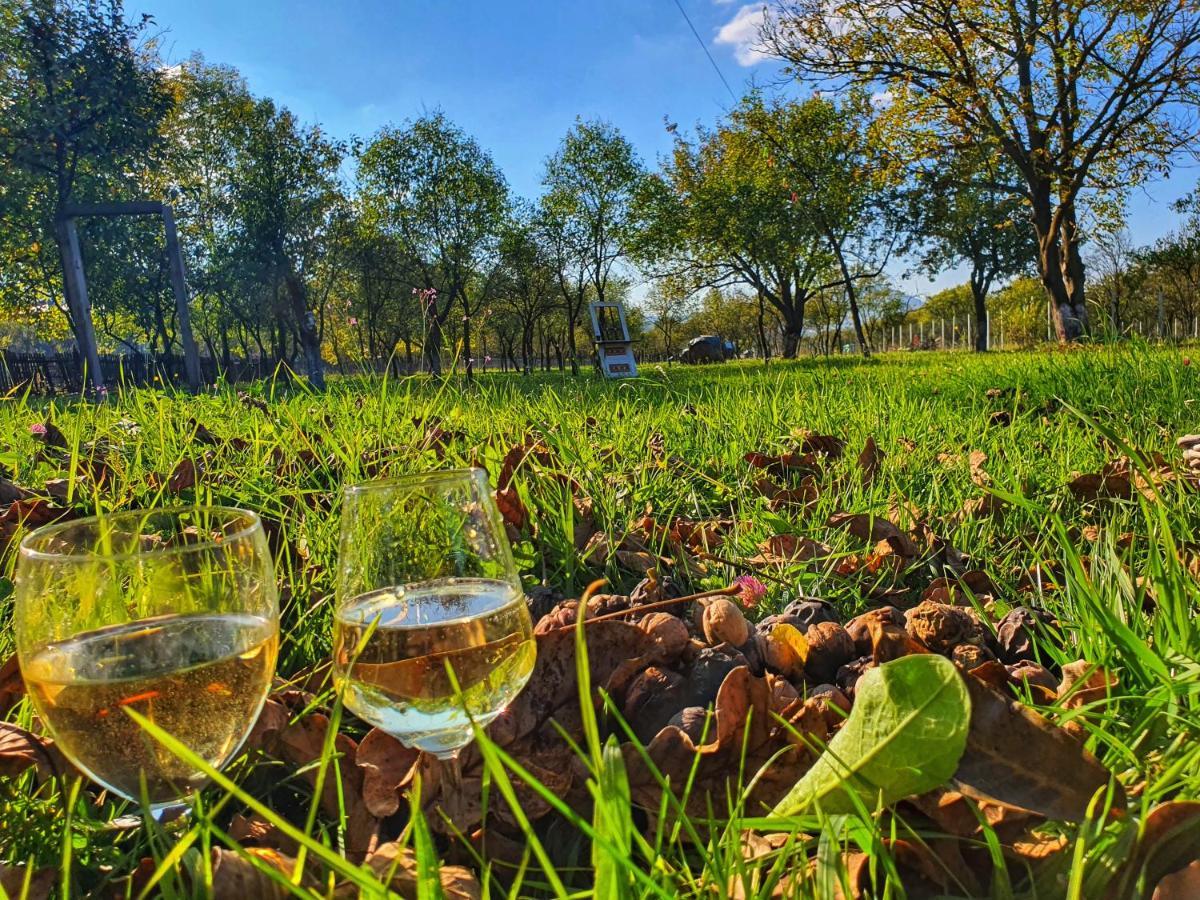 La Romaneasa Săpînţa Bagian luar foto