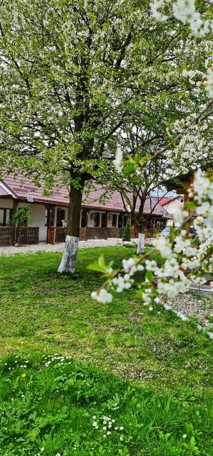 La Romaneasa Săpînţa Bagian luar foto